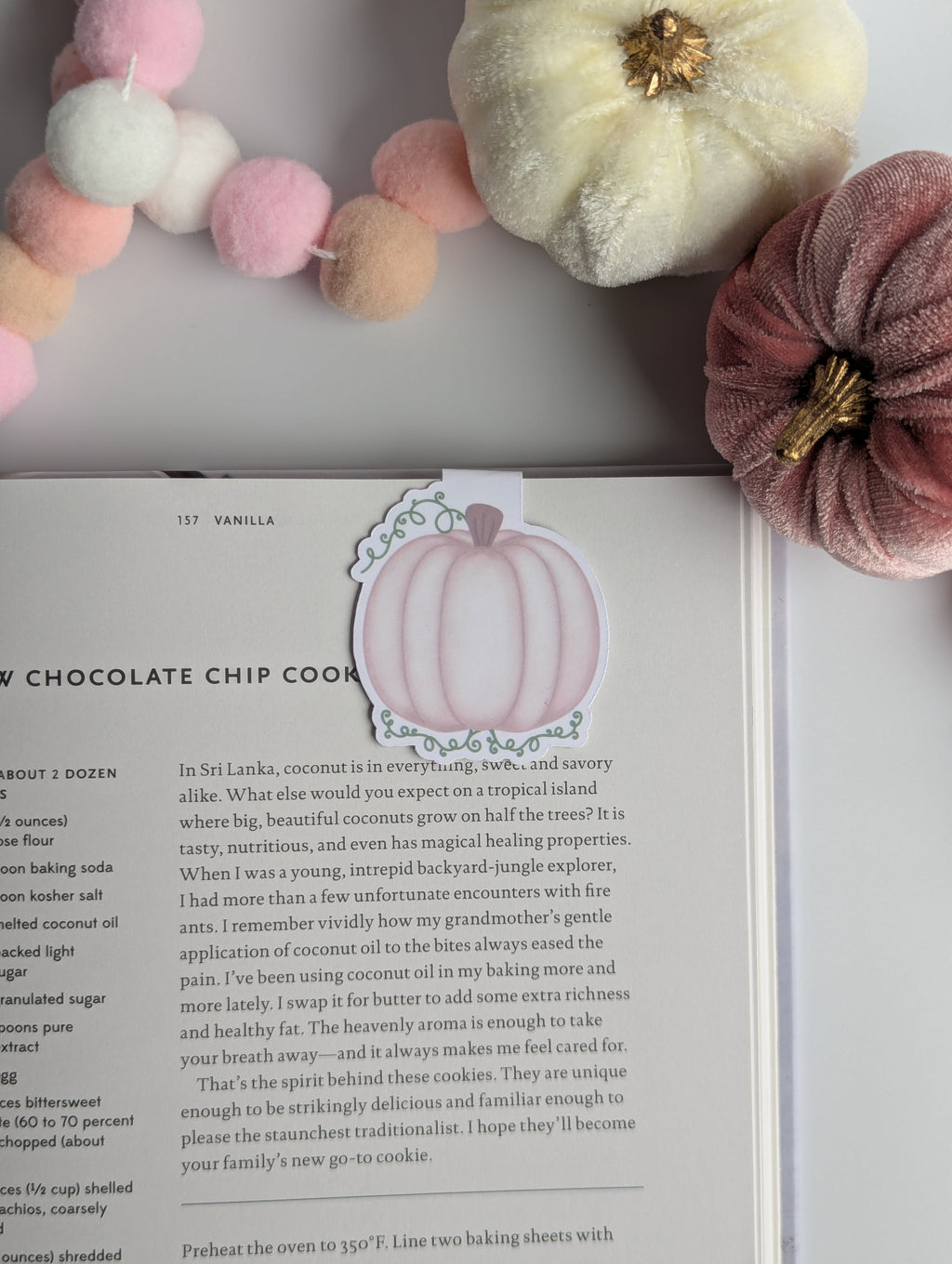 Light Pink Pumpkin Magnetic Bookmark
