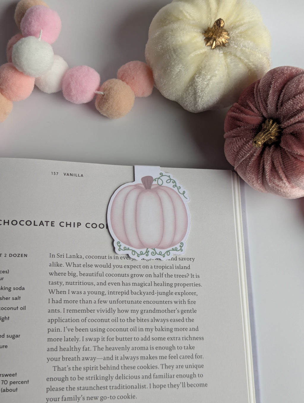 Light Pink Pumpkin Magnetic Bookmark