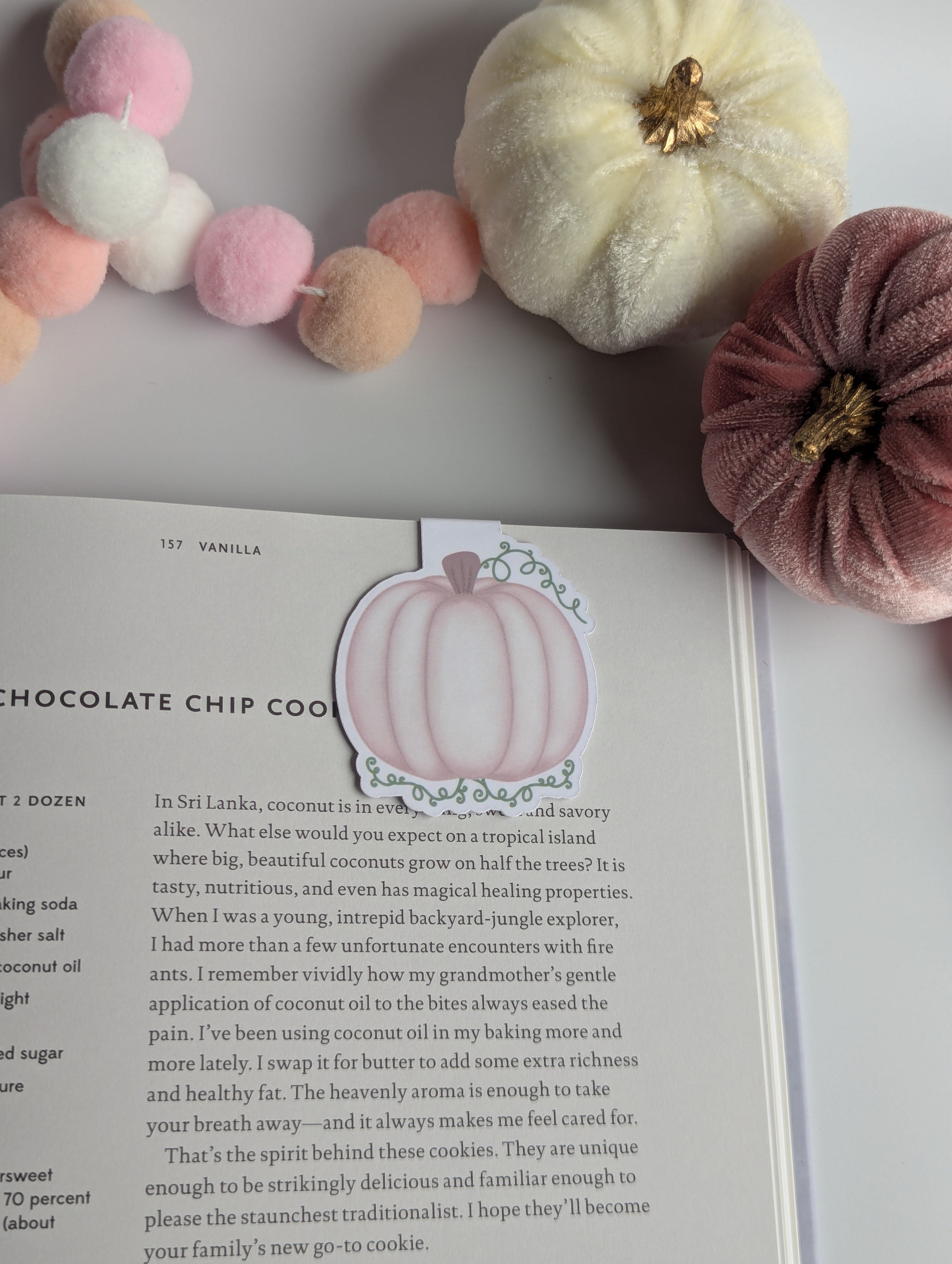 Light Pink Pumpkin Magnetic Bookmark