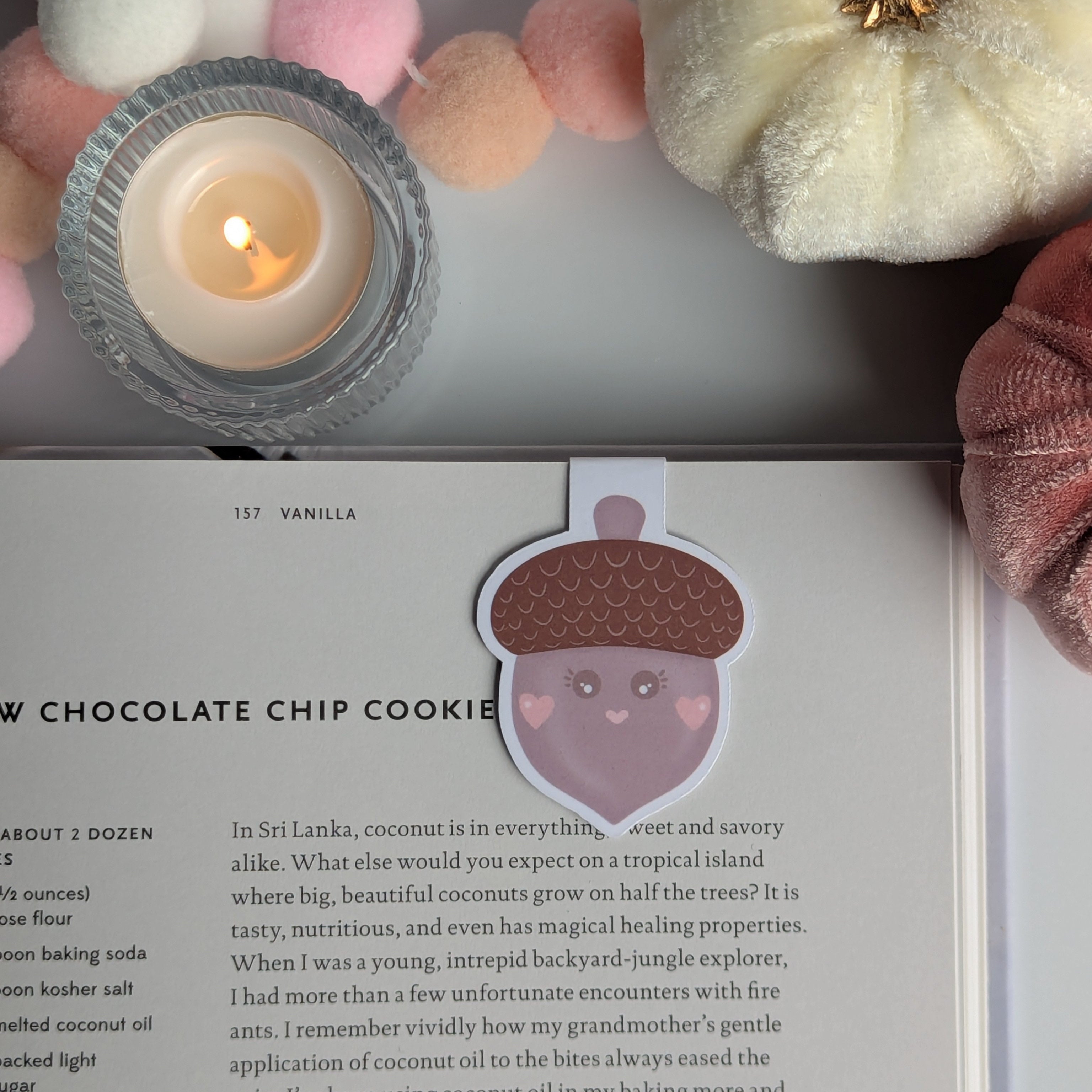 Cute Acorn Fall Magnetic Bookmark